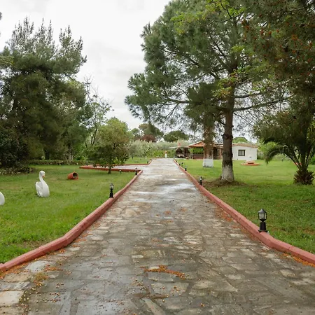 Evdokia's House * Dikella