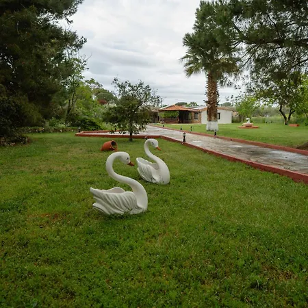 Holiday home Evdokia's House Dikella