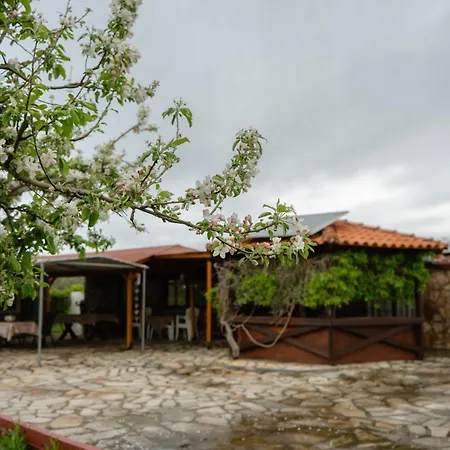 Evdokia's House Holiday home