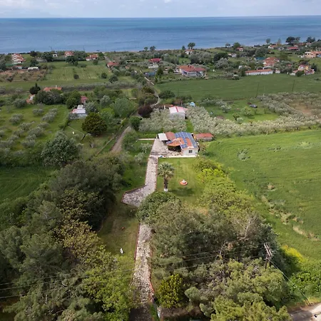 Evdokia's House