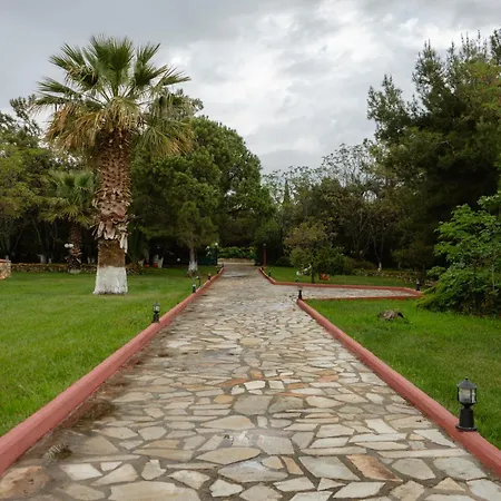 Evdokia's House Holiday home
